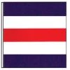 TAYLOR MADE Code of Signals Flag (C) -Outdoor Living shop 10090512