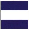 TAYLOR MADE Code of Signals Flag (J) -Outdoor Living shop 10090587