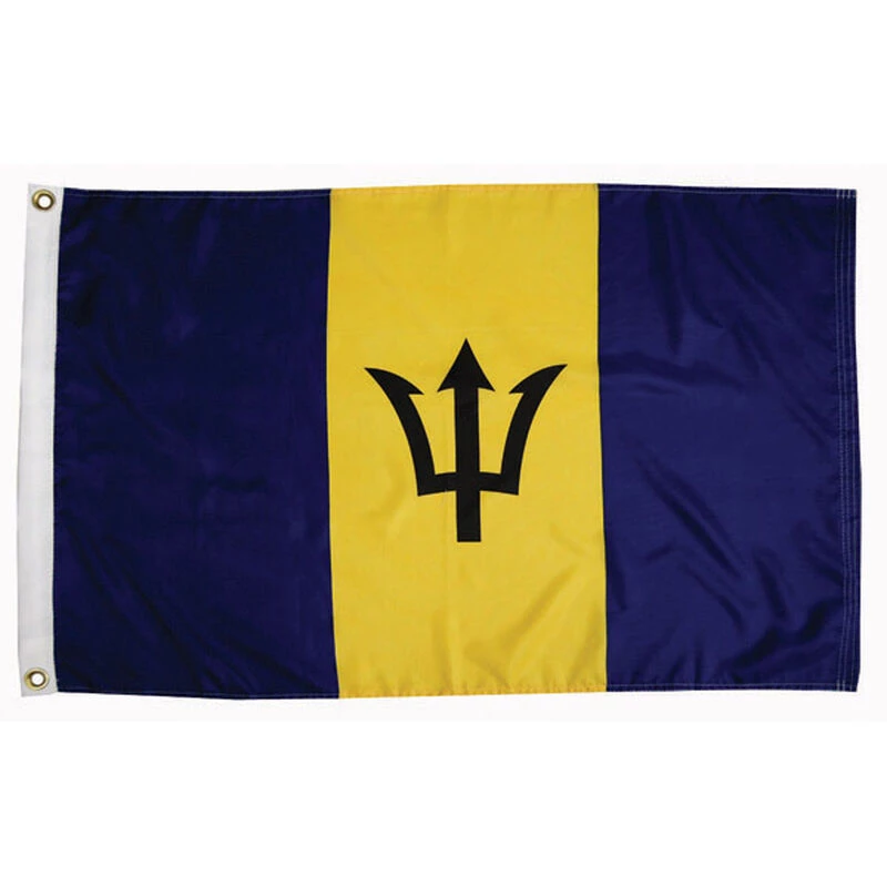 TAYLOR MADE Barbados Courtesy Flags 4 TAYLOR MADE Barbados Courtesy Flags - Image 2