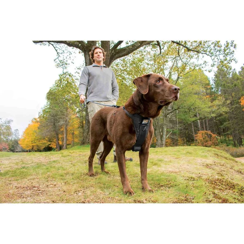 KURGO Tru-Fit Smart Dog Harness, Large 4 KURGO Tru-Fit Smart Dog Harness, Large - Image 2