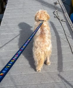 LEATHER MAN 3/4" Wide Nautical Code Flags Dog Leash -Outdoor Living shop 19273168 3 1500.01112019050007