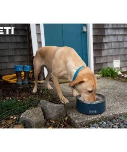 YETI Boomer™ 8 Stainless Steel Dog Bowl -Outdoor Living shop 19456946 4 1500.12092019033033