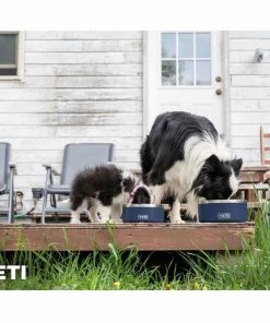 YETI Boomer™ 8 Stainless Steel Dog Bowl -Outdoor Living shop 19456946 5 1500.12092019033035