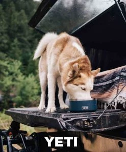 YETI Boomer™ 8 Stainless Steel Dog Bowl -Outdoor Living shop 19456946 6 1500.10092020010009