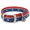 KURGO Muck Dog Collars -Outdoor Living shop 19470848 1500.11022019020011