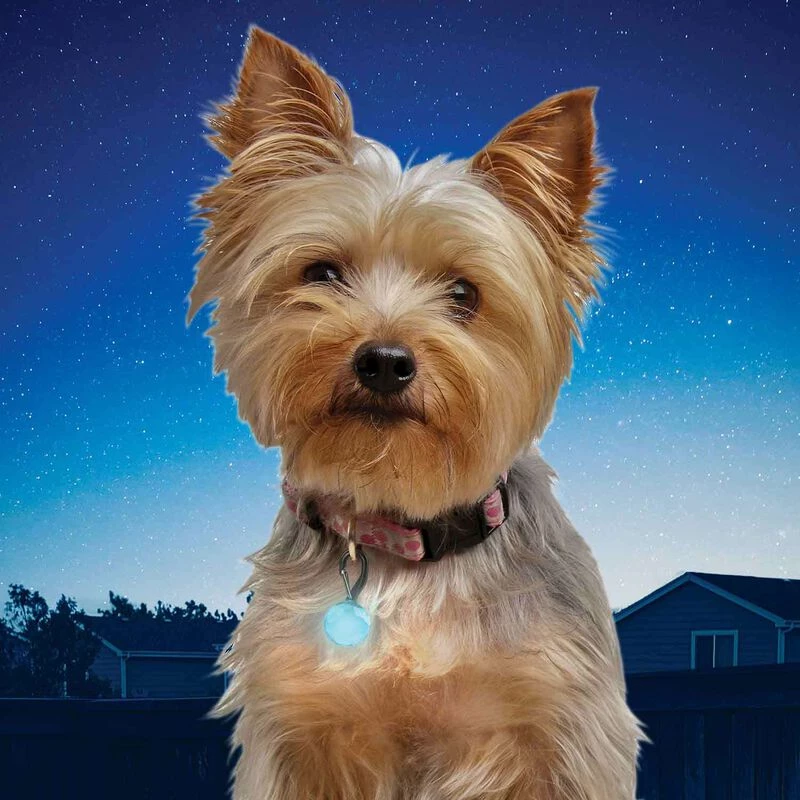 NITE IZE PetLit LED Collar Light, Turquoise Jewel 7 NITE IZE PetLit LED Collar Light, Turquoise Jewel - Image 5