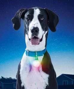 NITE IZE SpotLit™ XL Rechargeable Collar Light, Disc-O Select -Outdoor Living shop 19495258 8 1500.25022019030254