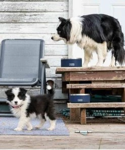 YETI Boomer™ 4 Stainless Steel Dog Bowl 15 YETI Boomer™ 4 Stainless Steel Dog Bowl -Outdoor Living shop 19683176 5 1500.06082019120052