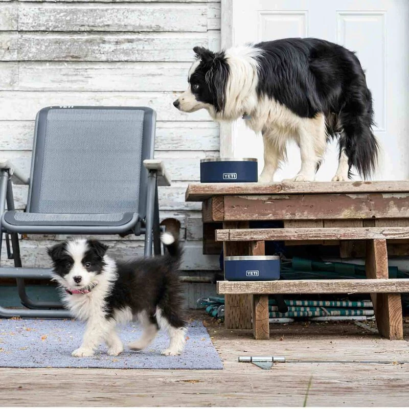 YETI Boomer™ 4 Stainless Steel Dog Bowl 7 YETI Boomer™ 4 Stainless Steel Dog Bowl - Image 5