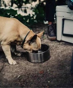 YETI Boomer™ 4 Stainless Steel Dog Bowl 13 YETI Boomer™ 4 Stainless Steel Dog Bowl -Outdoor Living shop 19683200 5 1500.19072019013652