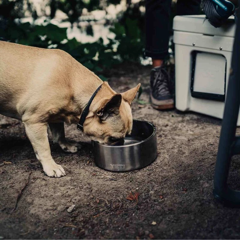 YETI Boomer™ 4 Stainless Steel Dog Bowl 7 YETI Boomer™ 4 Stainless Steel Dog Bowl - Image 5