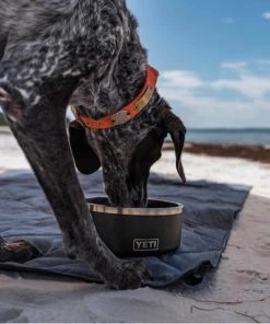 YETI Boomer™ 4 Stainless Steel Dog Bowl 14 YETI Boomer™ 4 Stainless Steel Dog Bowl -Outdoor Living shop 19683200 6 1500.19072019013654