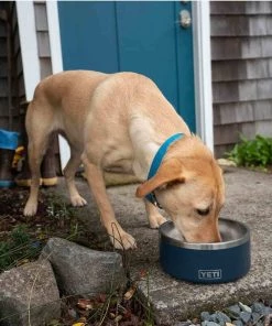 YETI Boomer™ 4 Stainless Steel Dog Bowl 15 YETI Boomer™ 4 Stainless Steel Dog Bowl -Outdoor Living shop 19683200 7 1500.19072019013656