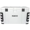 IGLOO 124 qt. Leeward Cooler -Outdoor Living shop 19906627 1500.11022020040258