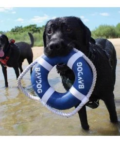 BAY DOG Fetch Ring Dog Toy -Outdoor Living shop 20247227 3 1500.23062021093417