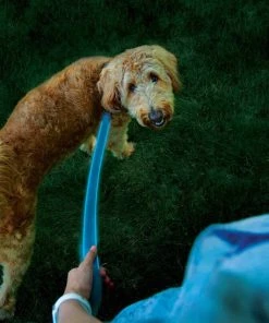 NITE IZE NiteDog™ Rechargeable LED Leash 18 NITE IZE NiteDog™ Rechargeable LED Leash -Outdoor Living shop 20337317 8 1500.27072021013325