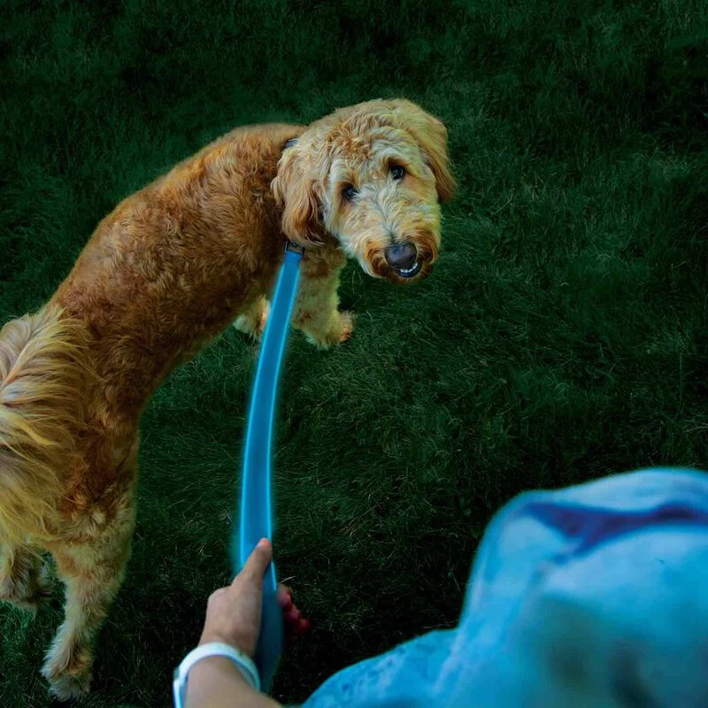 NITE IZE NiteDog™ Rechargeable LED Leash 10 NITE IZE NiteDog™ Rechargeable LED Leash - Image 8