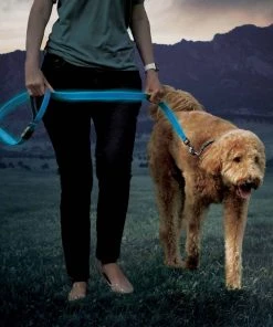 NITE IZE NiteDog™ Rechargeable LED Leash 19 NITE IZE NiteDog™ Rechargeable LED Leash -Outdoor Living shop 20337317 9 1500.27072021013328