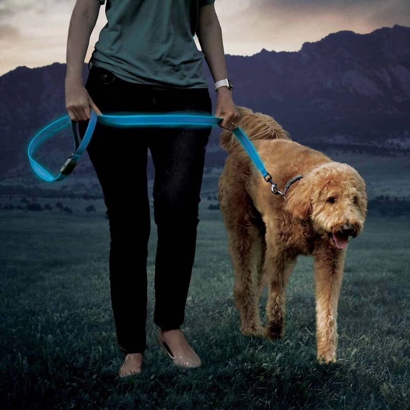 NITE IZE NiteDog™ Rechargeable LED Leash 11 NITE IZE NiteDog™ Rechargeable LED Leash - Image 9