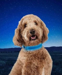 NITE IZE NiteDog&trade; Rechargeable LED Dog Collar, Medium -Outdoor Living shop 20337325 6 1500.27072021013348