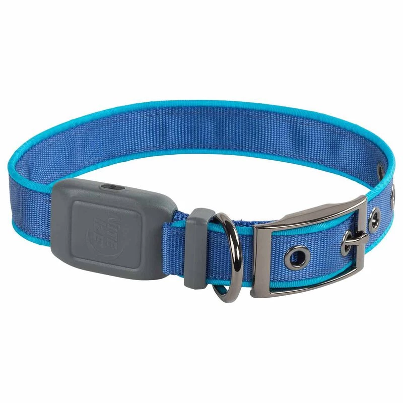 NITE IZE NiteDog™ Rechargeable LED Dog Collar, Large 5 NITE IZE NiteDog™ Rechargeable LED Dog Collar, Large - Image 3