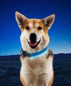 NITE IZE NiteDog™ Rechargeable LED Dog Collar, Large 15 NITE IZE NiteDog™ Rechargeable LED Dog Collar, Large -Outdoor Living shop 20337333 7 1500.27072021013414