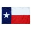 ANNIN FLAGMAKERS 12" x 18" Nylon Texas State Flag 1 ANNIN FLAGMAKERS 12" x 18" Nylon Texas State Flag -Outdoor Living shop 531590 1500.21042021113015