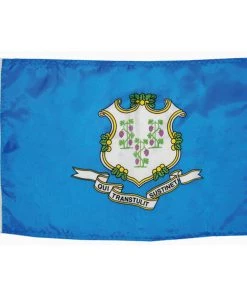 TAYLOR MADE Connecticut State Flag, 12" x 18"